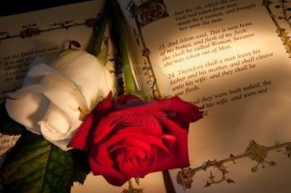 roses-and-bible-with-genesis-text