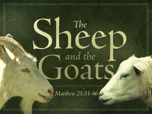 sheep-and-the-goats