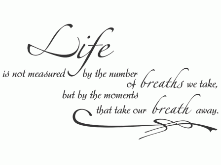 life_is_not_measured